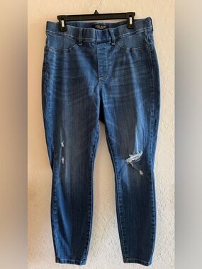 Judy Blue, 16W, pull-on distressed skinny jeans